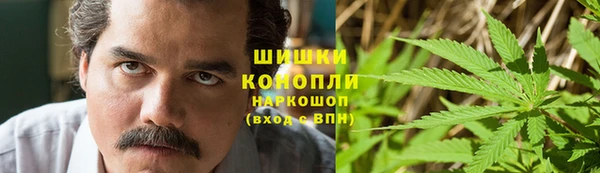 молекула духа Алзамай